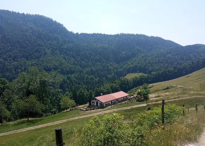 Weitblick 格拉绍